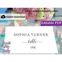 Calligraphy Escort Cards template,Modern Calligraphy Place Cards template, (51)